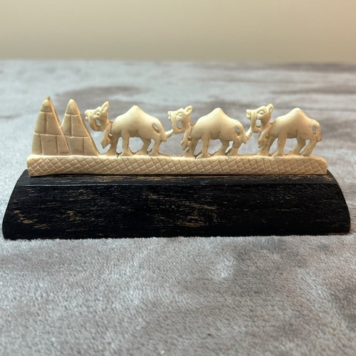 Camel parade and pyramids - camel,