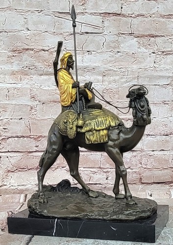Dromedary camel rider - dromedary,